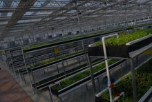 晉土地網(wǎng)頁與網(wǎng)站設計之道